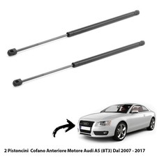 Molle gas pistoni usato  Italia