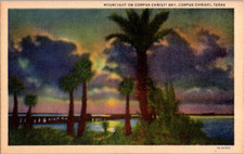 Vintage postcard corpus d'occasion  Expédié en Belgium