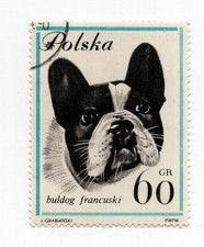 French bulldog vintage for sale French bulldog vintage for sale  COLEFORD