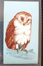 Tetley british birds for sale  BARRY
