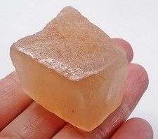 197ct natural orange for sale  Walnut