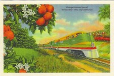Florida chrome postcard for sale  Greenwood