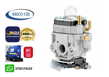 Carburatore per decespugliator usato  Sant Antimo