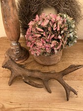 Geweih polyresin gebraucht kaufen Geweih polyresin gebraucht kaufen  Berlin