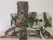 Birkenrinde rinde natur gebraucht kaufen  Plauen