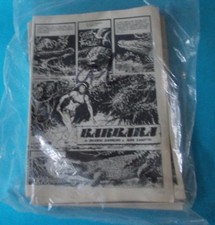 Zanotto barbara usato  Gambettola