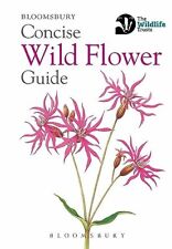Concise wild flower for sale  CANTERBURY