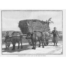 Georgia peasants market for sale  GLASGOW