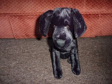 black dog soft toy for sale black dog soft toy for sale DOVER