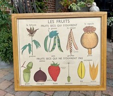 Ancienne affiche scolaire d'occasion  Haubourdin