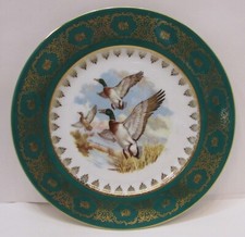 Mallard ducks drake for sale  Hensel