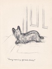 1936 skye terrier for sale  BIDEFORD