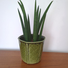 Vintage churchill plant for sale Vintage churchill plant for sale  WADEBRIDGE