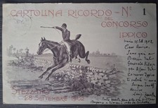 Cartolina stezzano ippica usato  Torre Canavese