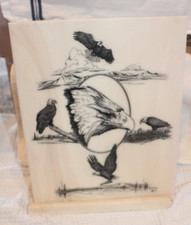 Montana marble medium for sale  Idaho Falls
