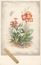 Illustrated easter butterfly d'occasion  Expédié en Belgium