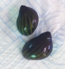 Neritina zebra lumaca usato  Tivoli