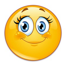 Smiley aufkleber wimpern gebraucht kaufen  Holzwickede