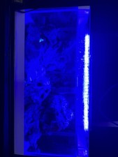 Acquario marino usato Acquario marino usato  Benevento