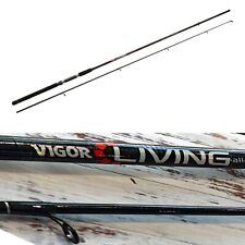 Canna spinning pesca usato  Terni
