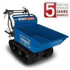 Scheppach dp4500 ketten gebraucht kaufen  Ichenhausen