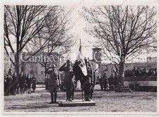 Fontanelice cerimonia stendard usato  Cremona
