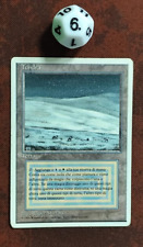 Mtg tundra poor usato  Bari