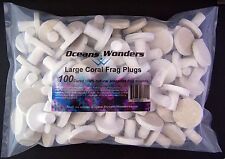 100 large cured for sale  Decorah