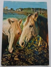 Chevaux camargue lumieres d'occasion  Dombasle-sur-Meurthe