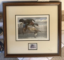 1984 texas waterfowl for sale  Houston
