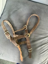 Foal headcollar brown for sale  MAIDSTONE