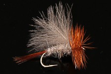 Sedge cdc lievre d'occasion  Clermont-Ferrand-