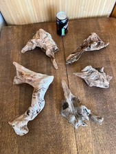 driftwood crafts for sale  UK