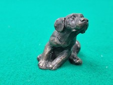 Miniature labrador puppy for sale  LEOMINSTER