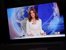 Televisore sky pollici usato  Quarrata