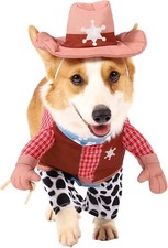 Halloween pet dog for sale  Phoenix