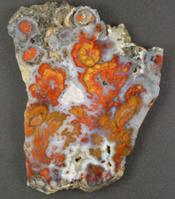 Wingate plume agate for sale  Salt Lake City