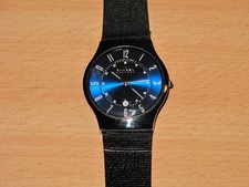 Skagen t233xltmn titanium gebraucht kaufen  Berlin
