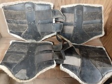 Used western horse for sale  Massillon
