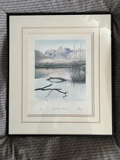 Geoffrey cowton limited for sale  OTLEY