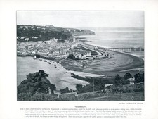 Teignmouth. victorian print. for sale  HEREFORD
