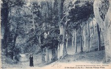 Saint cast bois d'occasion  France