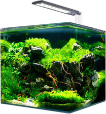 Acquario vetro completo usato  Roma