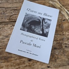Livre œuvre blanc d'occasion  Salvagnac