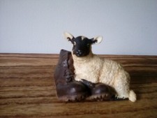 border fine arts sheep for sale border fine arts sheep for sale TAUNTON