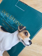 Jack russell hund gebraucht kaufen  Berlin