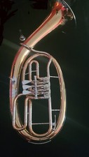 Tenorhorn cerveny cth gebraucht kaufen  Bremen