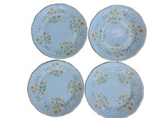 Walbrzych springtime salad for sale  Foley