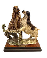 spaniel springer for sale spaniel springer for sale Melbourne