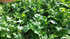 Lbs deer greens for sale  Sikeston